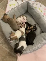 processed/160bbc07-3bff-46b8-90e0-0e6f74d02132/facility/7be9fd42-d3c7-4903-b709-4623fc8c2acf