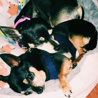 processed/160bbc07-3bff-46b8-90e0-0e6f74d02132/facility/9137f88c-db0b-4ced-b36a-7660c8681eb7