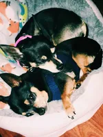 processed/160bbc07-3bff-46b8-90e0-0e6f74d02132/facility/9137f88c-db0b-4ced-b36a-7660c8681eb7