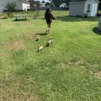 processed/160bbc07-3bff-46b8-90e0-0e6f74d02132/facility/a202c1e6-6364-42a3-a264-7677b0075fb0