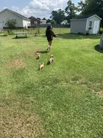 processed/160bbc07-3bff-46b8-90e0-0e6f74d02132/facility/a202c1e6-6364-42a3-a264-7677b0075fb0