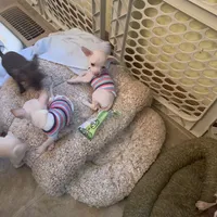 processed/160bbc07-3bff-46b8-90e0-0e6f74d02132/facility/a3c30767-b8f8-41db-a7a3-e1fe1325c830