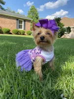 processed/160bbc07-3bff-46b8-90e0-0e6f74d02132/facility/b13cf248-5349-4791-a746-f7ec0f123125