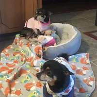 processed/160bbc07-3bff-46b8-90e0-0e6f74d02132/facility/c161e800-e696-4364-8c26-5bdeb67bd6d3