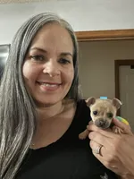 Cookie, a female Chihuahua for sale in Lumberton, NC – 2 of 5