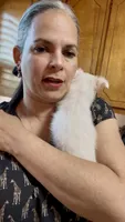 Chloe updated photos , a female Peekapoo and Chihuahua for sale in Lumberton, NC – 5 of 10