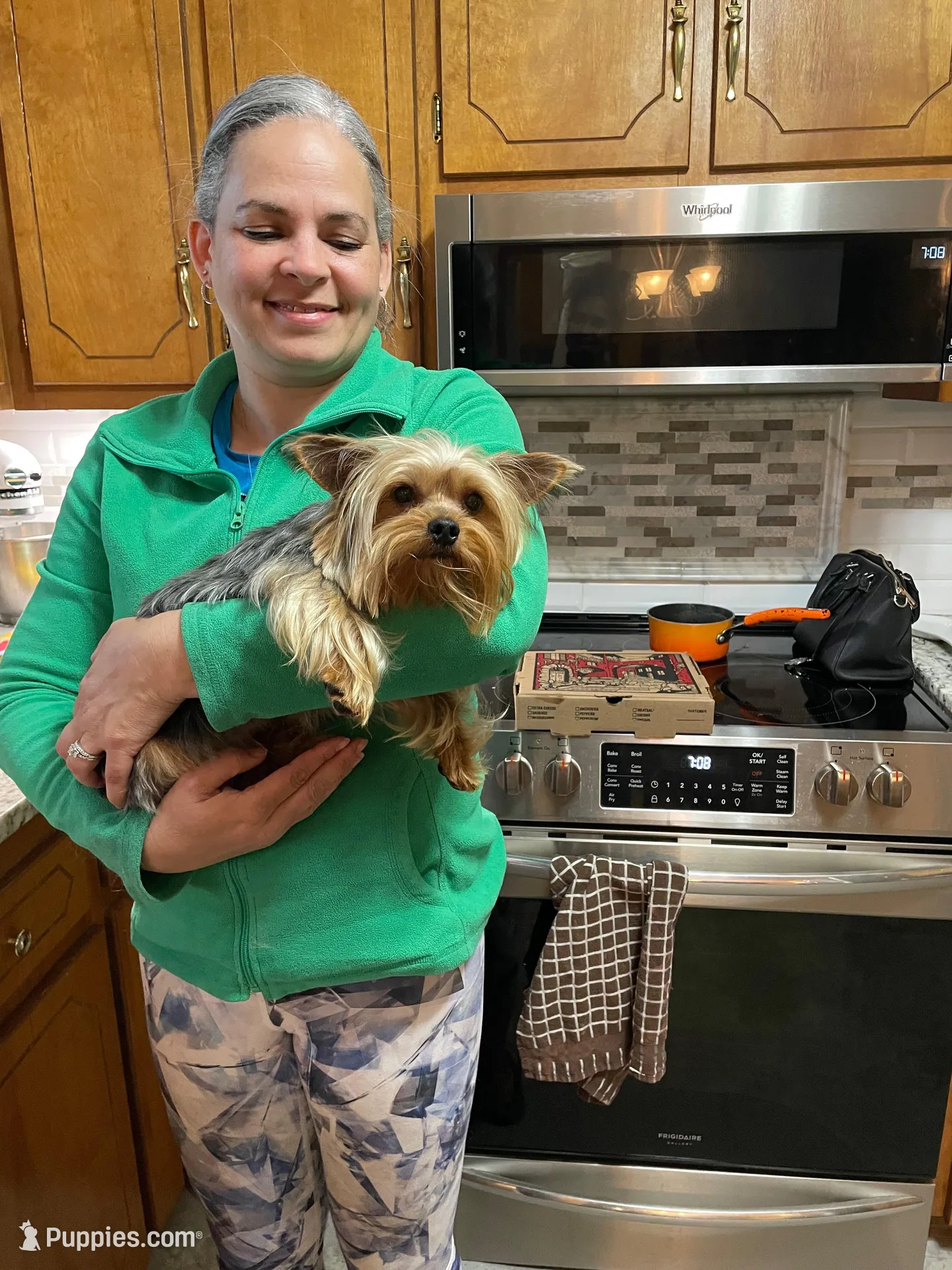 Bella-Pink collar, a female Yorkshire Terrier for sale in Lumberton, NC – Photo 10 of 10