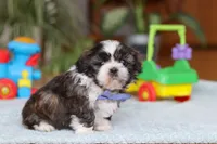 processed/160db341-8c0e-494a-ab82-25dc6579f840/listing/16f6184f-d6fe-45ae-823f-d90b96374660/41e3fcea-a933-4e65-8a8f-fee432abac7c