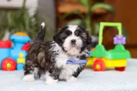 processed/160db341-8c0e-494a-ab82-25dc6579f840/listing/16f6184f-d6fe-45ae-823f-d90b96374660/b70a770d-a73b-4027-ba44-e4f133fd9e59