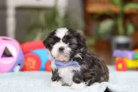 processed/160db341-8c0e-494a-ab82-25dc6579f840/listing/16f6184f-d6fe-45ae-823f-d90b96374660/d52b5ce6-e11c-4b6f-8a1b-24e7977f82a1