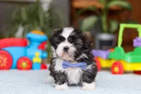 processed/160db341-8c0e-494a-ab82-25dc6579f840/listing/16f6184f-d6fe-45ae-823f-d90b96374660/f8225cee-eb3f-432d-94cf-90cc948c8213