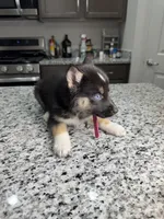 processed/161f461f-ee57-4bc9-8dcb-31d2f1fd4e5c/listing/347577e7-8de1-45d6-ab73-10e9b12d5d4b/8123c8a7-d0f0-4332-b161-a1ed4a7293e9