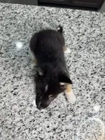 processed/161f461f-ee57-4bc9-8dcb-31d2f1fd4e5c/listing/347577e7-8de1-45d6-ab73-10e9b12d5d4b/e54a0b52-dd5b-4554-8048-873df89f5b7c