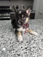 processed/161f461f-ee57-4bc9-8dcb-31d2f1fd4e5c/listing/347577e7-8de1-45d6-ab73-10e9b12d5d4b/f49aabaa-da02-4147-82bc-1389add5870d