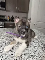 processed/161f461f-ee57-4bc9-8dcb-31d2f1fd4e5c/listing/8a94d7da-807d-4cb9-98e0-5218e74dd055/a7c224c5-d894-4a51-baf1-c6cea7dffb6a