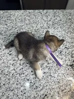 processed/161f461f-ee57-4bc9-8dcb-31d2f1fd4e5c/listing/8a94d7da-807d-4cb9-98e0-5218e74dd055/b495164c-1885-498f-9d5e-7260a394a1be