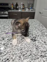 processed/161f461f-ee57-4bc9-8dcb-31d2f1fd4e5c/listing/8a94d7da-807d-4cb9-98e0-5218e74dd055/cd2d028f-f218-4b5e-b9d1-c7ec07a8672b