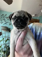 processed/16200795-b234-42c0-b9b6-de68ae27a92b/facility/90bcc46c-72b3-4e3c-9b59-75533e8bd60c