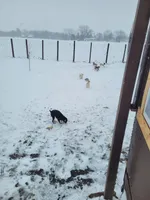 processed/162f182e-219d-4a95-9e12-8db534659402/facility/87226f3d-c965-42a7-af08-fa735b13b1dd