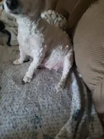 processed/162f182e-219d-4a95-9e12-8db534659402/facility/8e156aed-f684-4abd-84e7-5b157dcaafbf