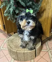 processed/162fa46c-6ff9-487b-bfad-e1db8ef5e7ae/listing/04fc7daf-94bf-490e-b9f8-bc1de5f9bfab/046a90f9-5479-4050-b86d-d7b3a13535a0