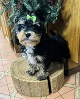 processed/162fa46c-6ff9-487b-bfad-e1db8ef5e7ae/listing/04fc7daf-94bf-490e-b9f8-bc1de5f9bfab/0ba90724-251f-4e6e-b8f4-be5bd97b16c6