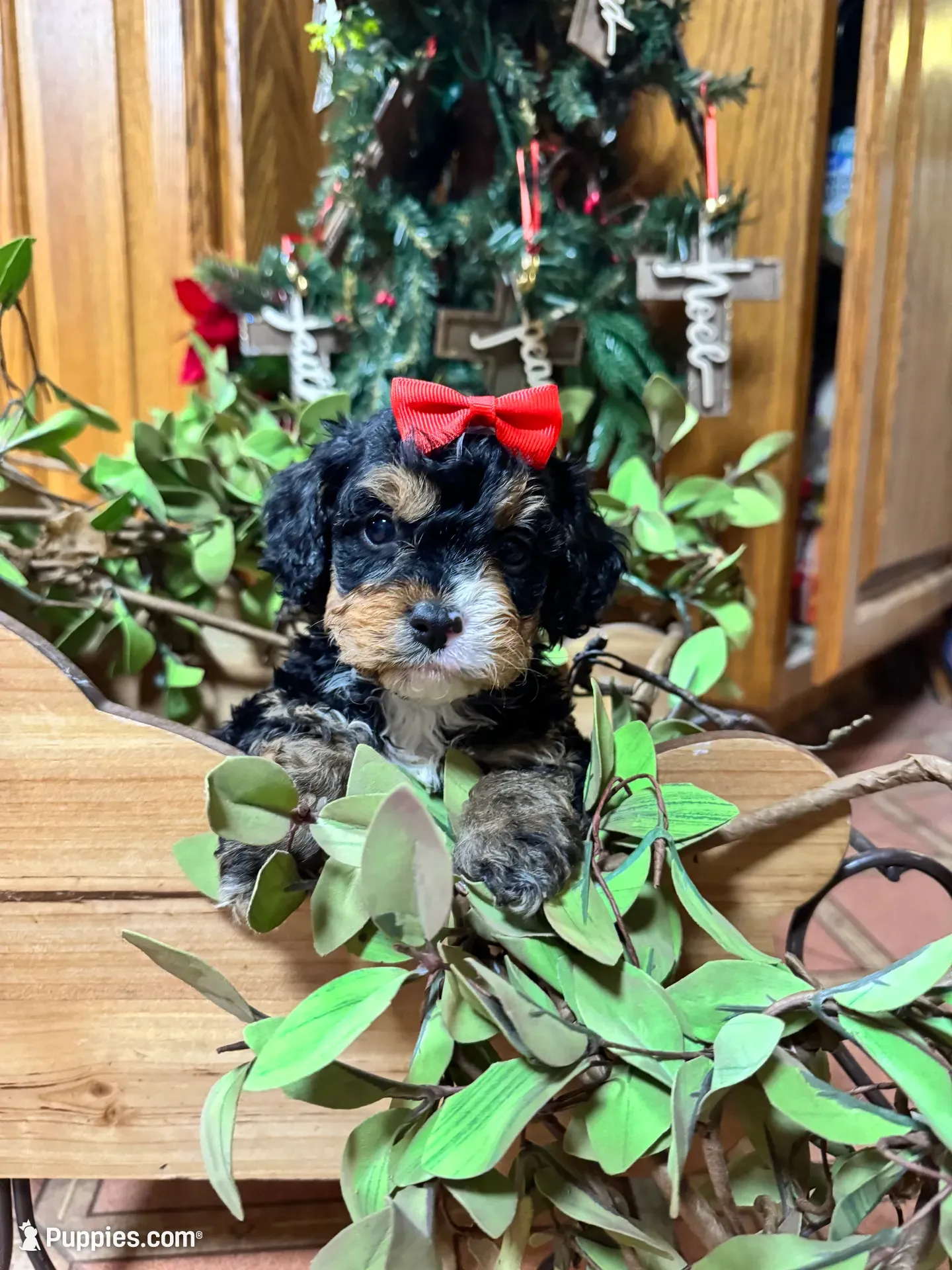 processed/162fa46c-6ff9-487b-bfad-e1db8ef5e7ae/listing/04fc7daf-94bf-490e-b9f8-bc1de5f9bfab/20f3ad7e-97b5-4dd0-9633-ec10ad3b65bb