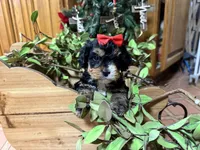 processed/162fa46c-6ff9-487b-bfad-e1db8ef5e7ae/listing/04fc7daf-94bf-490e-b9f8-bc1de5f9bfab/4b526bff-8018-4f1b-8a9c-aa88ae2a8e9d