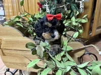 processed/162fa46c-6ff9-487b-bfad-e1db8ef5e7ae/listing/04fc7daf-94bf-490e-b9f8-bc1de5f9bfab/4ed7ae12-20e2-461a-8a77-271940d144fe