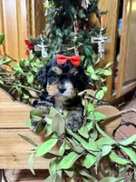 processed/162fa46c-6ff9-487b-bfad-e1db8ef5e7ae/listing/04fc7daf-94bf-490e-b9f8-bc1de5f9bfab/9a16a32d-f170-463b-b610-c99b9d718a55