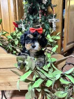 processed/162fa46c-6ff9-487b-bfad-e1db8ef5e7ae/listing/04fc7daf-94bf-490e-b9f8-bc1de5f9bfab/ceb2a9b8-89ce-41c2-a1b4-e04cfe1207a5