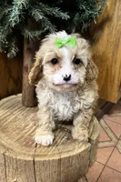 processed/162fa46c-6ff9-487b-bfad-e1db8ef5e7ae/listing/922214b9-34d1-4a2b-a414-d03c212867cd/03ef0d3f-2294-4dba-ac62-961a14d7a8bd