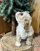 processed/162fa46c-6ff9-487b-bfad-e1db8ef5e7ae/listing/922214b9-34d1-4a2b-a414-d03c212867cd/14bcf99c-f903-4db3-b594-9e996fe08700