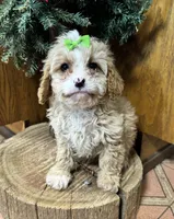 processed/162fa46c-6ff9-487b-bfad-e1db8ef5e7ae/listing/922214b9-34d1-4a2b-a414-d03c212867cd/810d60d2-bf43-4769-b6e6-4613a650d770