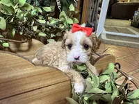 processed/162fa46c-6ff9-487b-bfad-e1db8ef5e7ae/listing/922214b9-34d1-4a2b-a414-d03c212867cd/91bc6c9c-20c6-4abc-b14b-bd88168dfddd