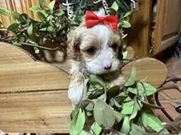 processed/162fa46c-6ff9-487b-bfad-e1db8ef5e7ae/listing/922214b9-34d1-4a2b-a414-d03c212867cd/f4cf9763-30c1-461d-a203-0ceccd49a70b