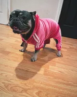 processed/1632c5ce-5bfd-4f6a-9c01-e5838a1acdf7/facility/c5258888-e551-4193-916d-6c49eb7e3d8c