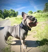 processed/1632c5ce-5bfd-4f6a-9c01-e5838a1acdf7/facility/c970b38a-4395-42b8-b1df-a34f593e31bb