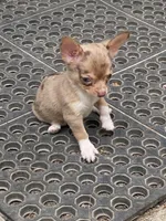 processed/163ade4c-9b42-4949-9fea-f54d2c3133cb/facility/746aba9a-8431-49d3-9a83-1b883717e8a1