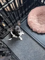 processed/163ade4c-9b42-4949-9fea-f54d2c3133cb/facility/f88dafc7-ce06-4d1d-aceb-46905d238354