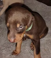 processed/163c1cbe-492f-4bc4-9d11-1fc2a6610387/listing/215ff3de-739c-456c-b011-079d12e56d0c/06b6b0d6-a1e9-4ab7-b4e4-a2a1d2211269