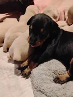 processed/163c1cbe-492f-4bc4-9d11-1fc2a6610387/listing/4f4d2bf0-3f63-4cf9-9b48-e17e76ad63f9/621bd427-228d-415c-901d-cfb1a7e8bfd6