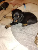 processed/163c1cbe-492f-4bc4-9d11-1fc2a6610387/listing/4f4d2bf0-3f63-4cf9-9b48-e17e76ad63f9/c0ca7265-7b81-4b7d-a44b-b5372e35cd82