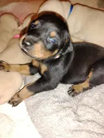 processed/163c1cbe-492f-4bc4-9d11-1fc2a6610387/listing/4f4d2bf0-3f63-4cf9-9b48-e17e76ad63f9/d91bd5fc-17ea-4479-a354-9fad3a0046f1