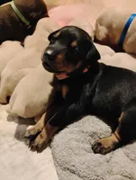 processed/163c1cbe-492f-4bc4-9d11-1fc2a6610387/listing/4f4d2bf0-3f63-4cf9-9b48-e17e76ad63f9/e7bcc26b-9c0b-4b2e-a3de-74a952a9087c