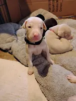 processed/163c1cbe-492f-4bc4-9d11-1fc2a6610387/listing/8daf82dc-e1e8-4a5b-81de-c72c776d6152/1291c3a2-e452-431d-96da-4bda867a4b85