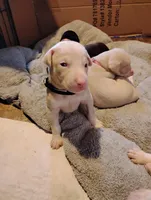 processed/163c1cbe-492f-4bc4-9d11-1fc2a6610387/listing/8daf82dc-e1e8-4a5b-81de-c72c776d6152/5296e89f-0074-4c03-81db-717136e4437c