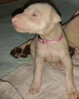 processed/163c1cbe-492f-4bc4-9d11-1fc2a6610387/listing/f71524fb-0f85-4173-bf5a-c4d5961310e3/c8c59328-5cc7-458a-b4d2-3876150c68a0