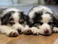 processed/16674256-4aaa-4867-8940-51277a53f151/facility/23094419-da45-42d4-b566-8f7a8cf5a3d7