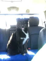 processed/16674256-4aaa-4867-8940-51277a53f151/facility/9834c30e-a4df-4707-b0f4-cc33ade62f11